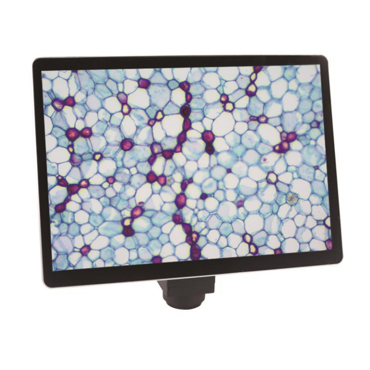 LCD ekran od 10,5 inča